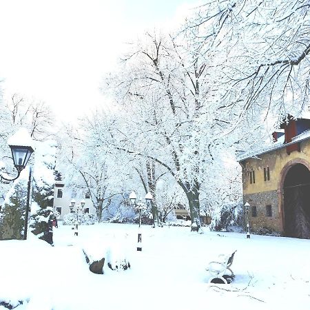 Jagdschloss Hotel Niederwald Рюдесхайм ам Рейн Екстериор снимка