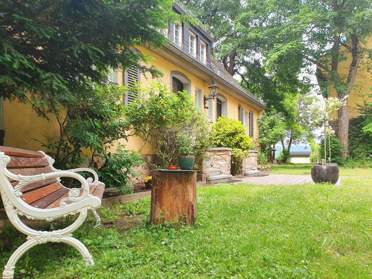 Jagdschloss Hotel Niederwald Рюдесхайм ам Рейн Екстериор снимка