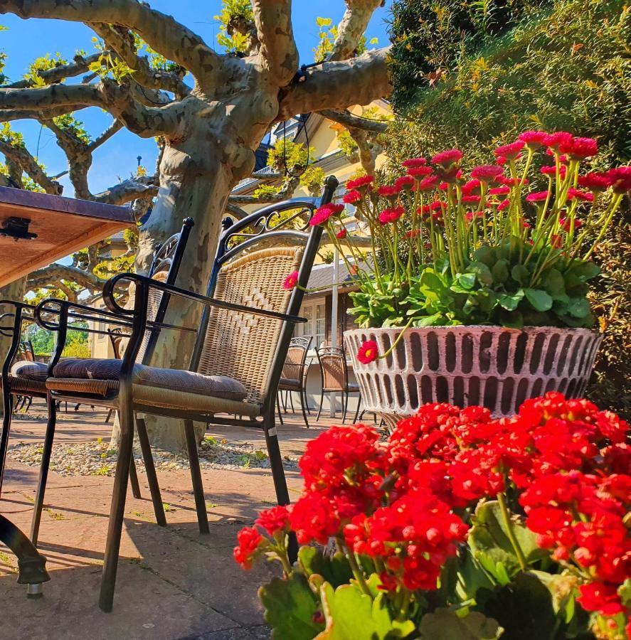 Jagdschloss Hotel Niederwald Рюдесхайм ам Рейн Екстериор снимка