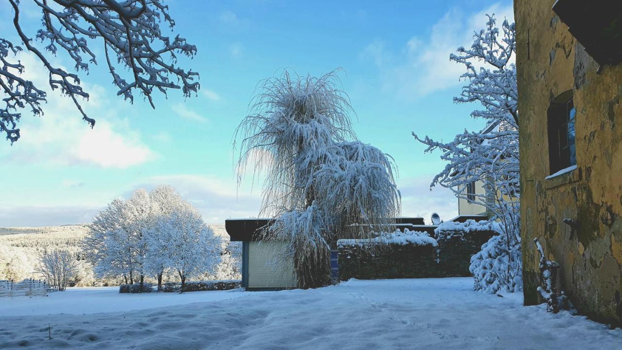 Jagdschloss Hotel Niederwald Рюдесхайм ам Рейн Екстериор снимка