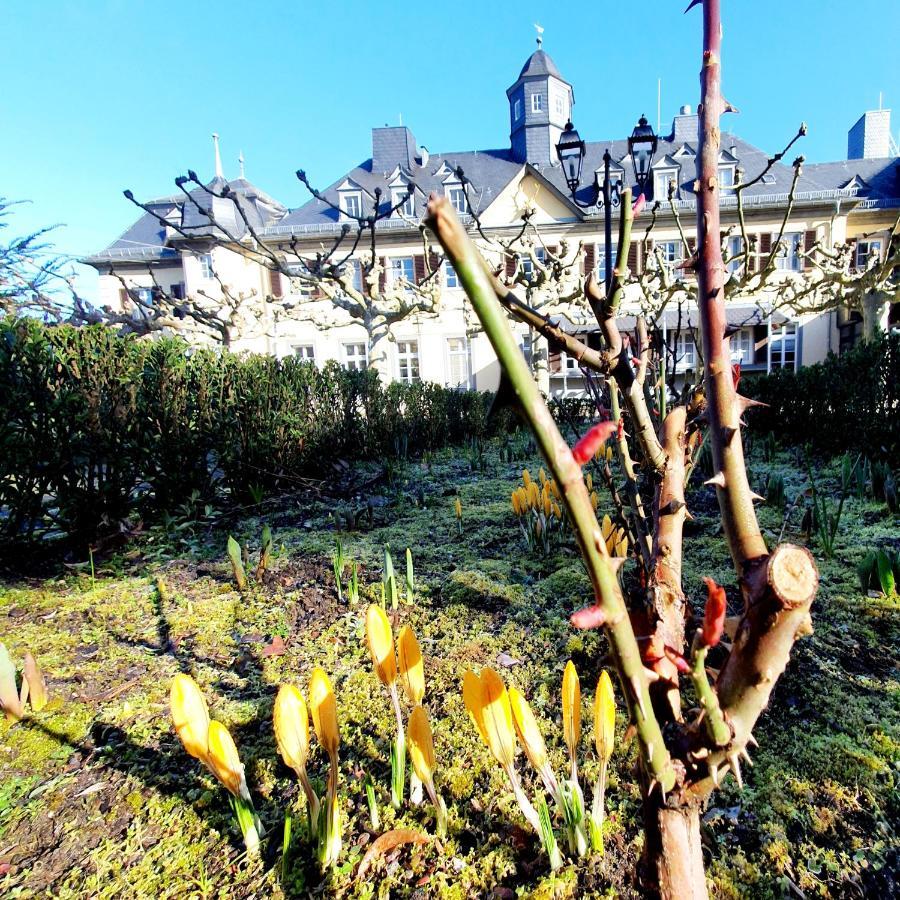 Jagdschloss Hotel Niederwald Рюдесхайм ам Рейн Екстериор снимка