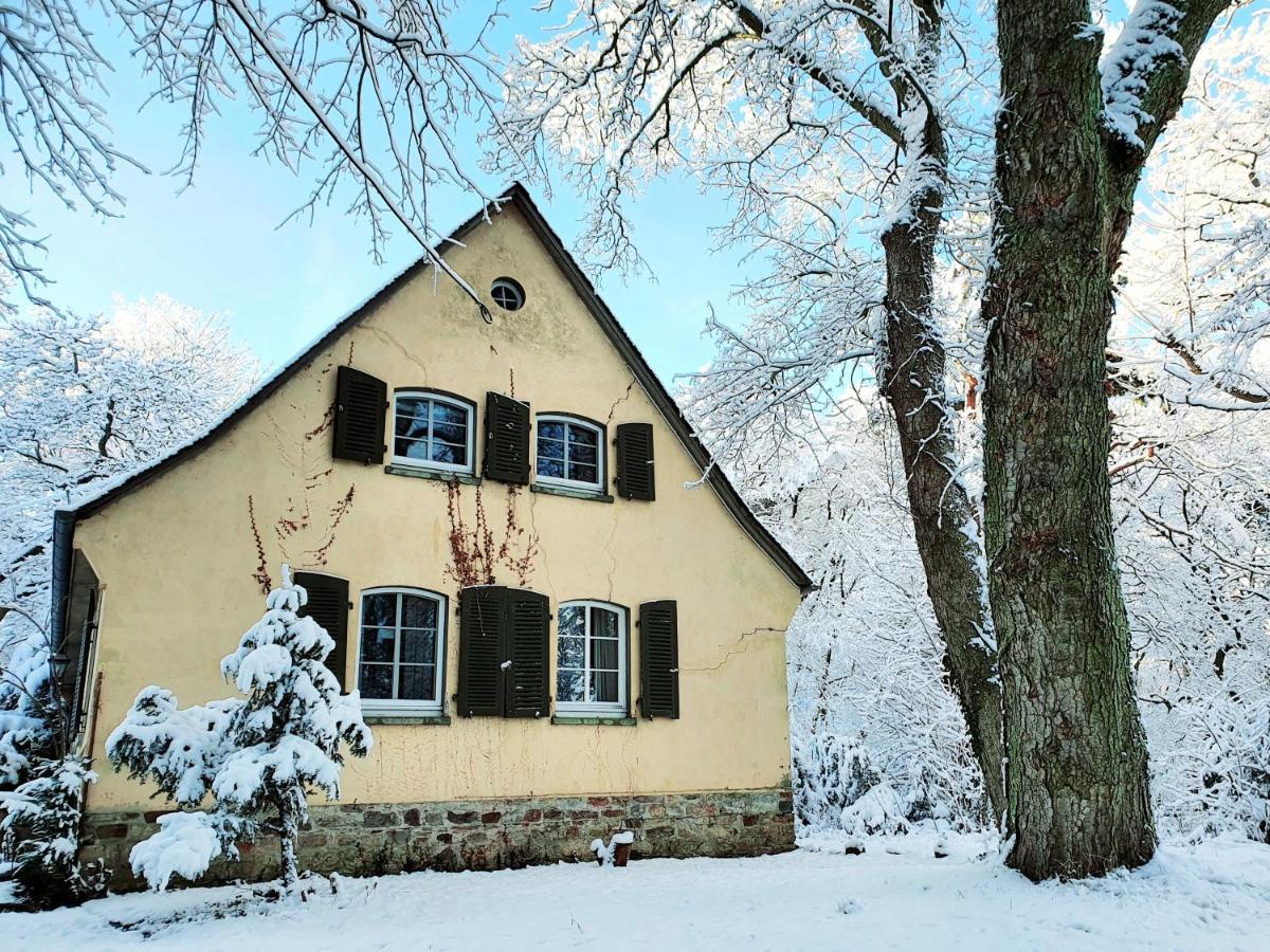 Jagdschloss Hotel Niederwald Рюдесхайм ам Рейн Екстериор снимка