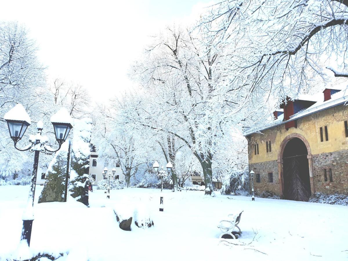 Jagdschloss Hotel Niederwald Рюдесхайм ам Рейн Екстериор снимка