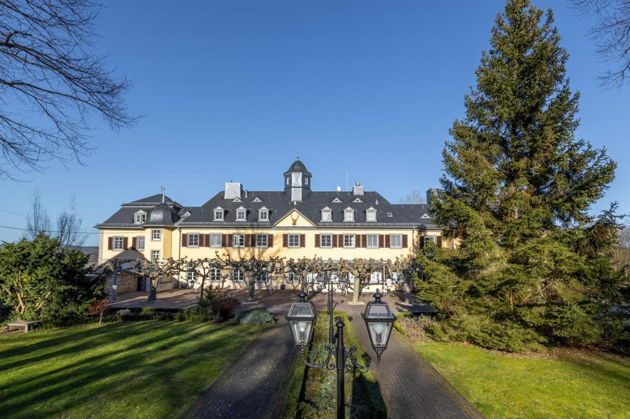 Jagdschloss Hotel Niederwald Рюдесхайм ам Рейн Екстериор снимка
